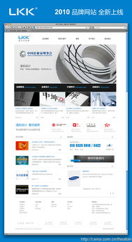 2010年洛可可品牌网站设计策划 打造数字时代的品牌形象