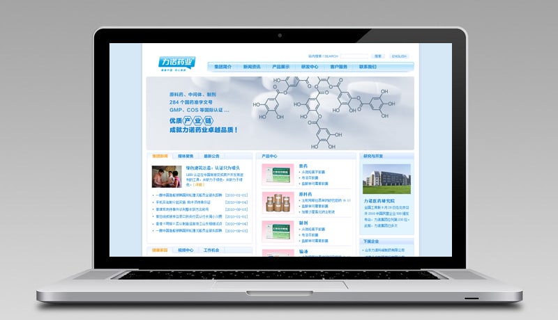 力诺药业集团品牌整合策划、产品策划与电商技术咨询服务 构建一体化竞争力新蓝图