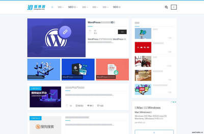 泪雪博客 专注网站SEO优化推广及WordPress开发的深度策划指南